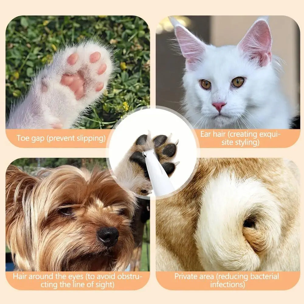 Pawvera Premium Trimmer