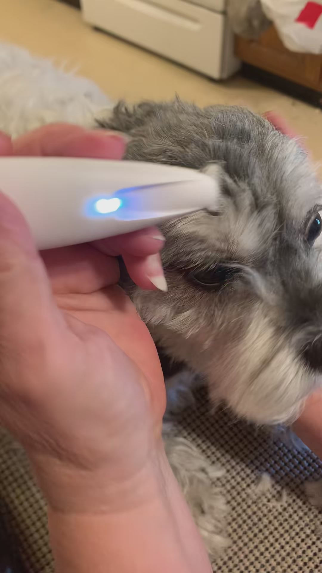 Pawvera™ Premium Trimmer video