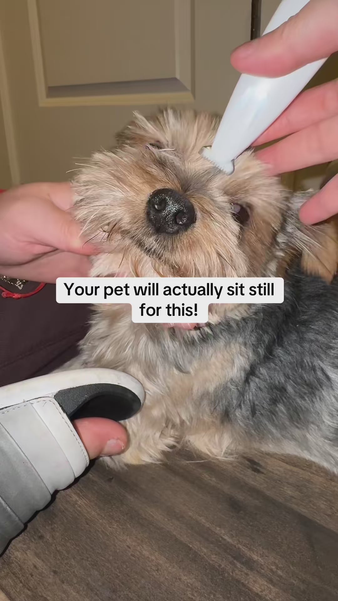 Pawvera™ Premium Trimmer video