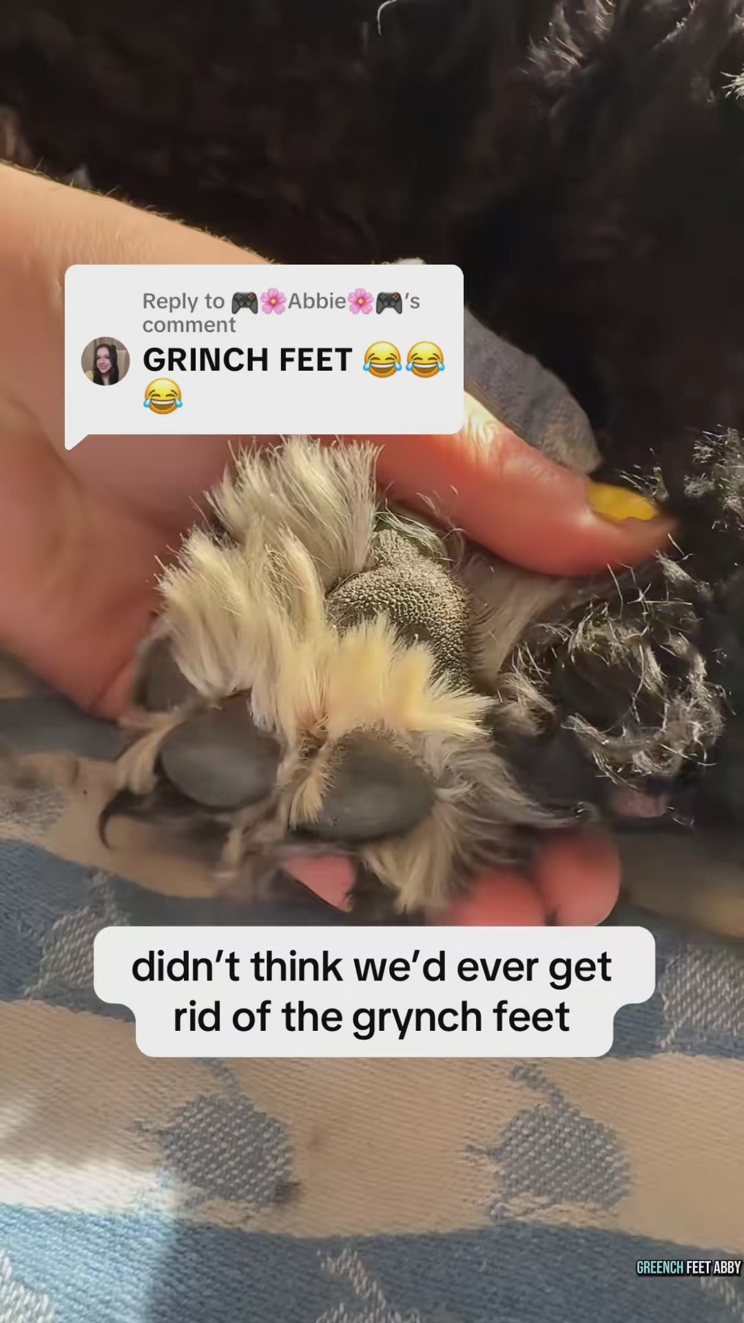 Pawvera™ Premium Trimmer video
